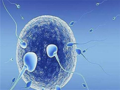 关于代生男孩价格